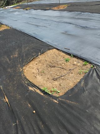 반도님의 자유주제 · 자유게시판 작성글 사진