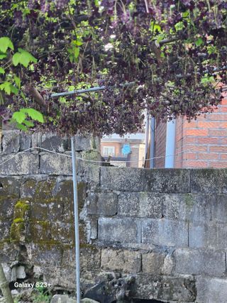 다래와산마늘님의 4월 내 작물 자랑하기 · 참여글 작성글 사진