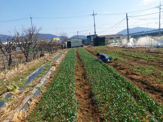 무심63님의 자유주제 · 자유게시판 작성글 사진