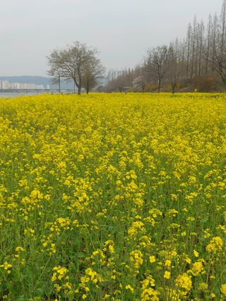 무심63님의 자유주제 · 자유게시판 작성글 사진