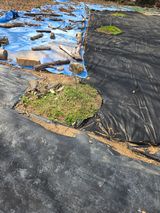 팜모닝 자유주제·자유게시판 게시글 이미지