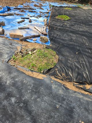 반도님의 자유주제 · 자유게시판 작성글 사진