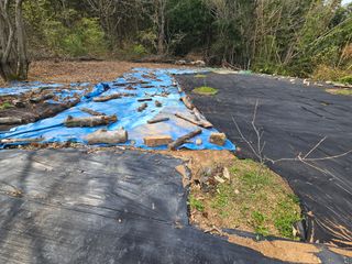 반도님의 자유주제 · 자유게시판 작성글 사진