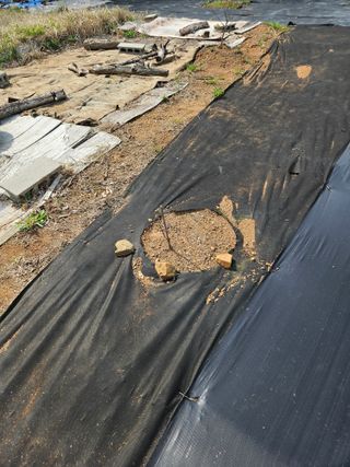 반도님의 자유주제 · 자유게시판 작성글 사진