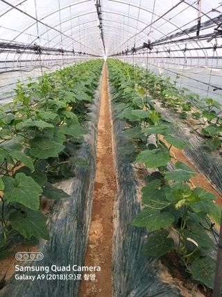 알 수 없음님의 4월 내 작물 자랑하기 · 참여글 작성글 사진