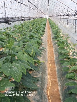 알 수 없음님의 4월 내 작물 자랑하기 · 참여글 작성글 사진