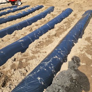 강원특별자치도농민님의 자유주제 · 자유게시판 작성글 사진