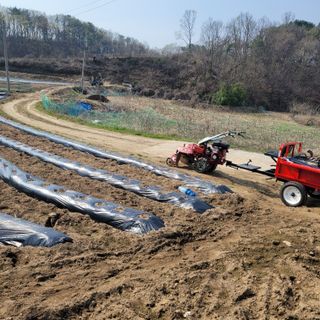 강원특별자치도농민님의 자유주제 · 자유게시판 작성글 사진