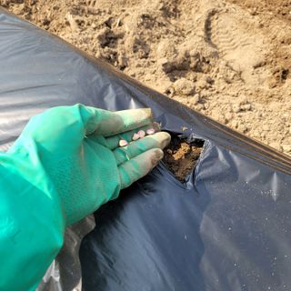 강원특별자치도농민님의 자유주제 · 자유게시판 작성글 사진