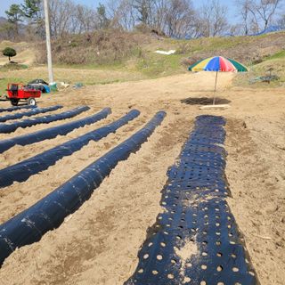 강원특별자치도농민님의 자유주제 · 자유게시판 작성글 사진