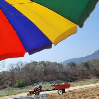 강원특별자치도농민님의 자유주제 · 자유게시판 작성글 사진