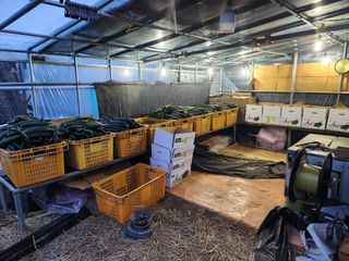 유덕균님의 오이 · 영농일지 작성글 사진