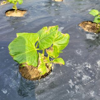 이창화님의 자유주제 · 자유게시판 작성글 사진