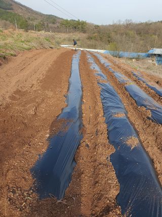 김영복님의 자유주제 · 자유게시판 작성글 사진