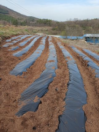 김영복님의 자유주제 · 자유게시판 작성글 사진