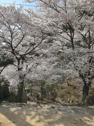 김영복님의 자유주제 · 자유게시판 작성글 사진