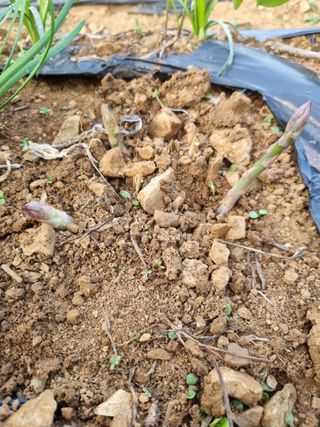 풍요님의 자유주제 · 자유게시판 작성글 사진