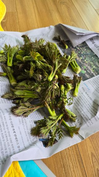 임정석님의 두릅 · 영농일지 작성글 사진