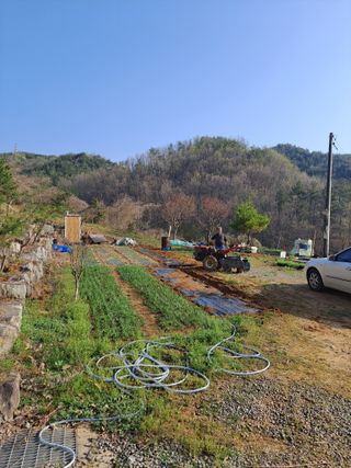 송인경님의 기타작물 · 영농일지 작성글 사진