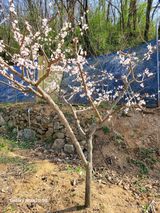 팜모닝 4월 내 작물 자랑하기·참여글 게시글 이미지