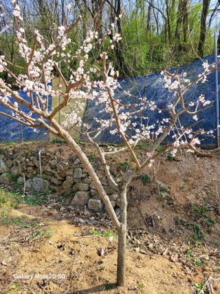 하우스님의 4월 내 작물 자랑하기 · 참여글 작성글 사진