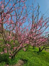 팜모닝 자유주제·자유게시판 게시글 이미지