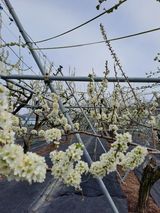 팜모닝 4월 내 작물 자랑하기·참여글 게시글 이미지