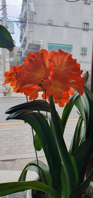 김익중님의 자유주제 · 자유게시판 작성글 사진