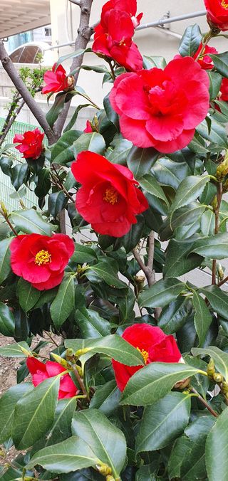 김익중님의 자유주제 · 자유게시판 작성글 사진