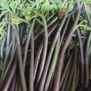 다소농원님의 자유주제 · 자유게시판 작성글 사진