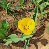 팜모닝 4월 내 작물 자랑하기·참여글 게시글 이미지