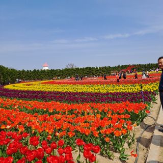 텃밭농부.이점례님의 4월 내 작물 자랑하기 · 참여글 작성글 사진