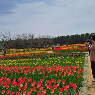 텃밭농부.이점례님의 4월 내 작물 자랑하기 · 참여글 작성글 사진