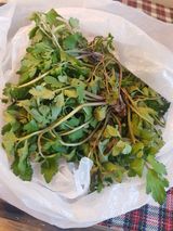 팜모닝 자유주제·자유게시판 게시글 이미지