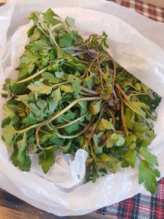 어쩌다농부님의 자유주제 · 자유게시판 작성글 사진