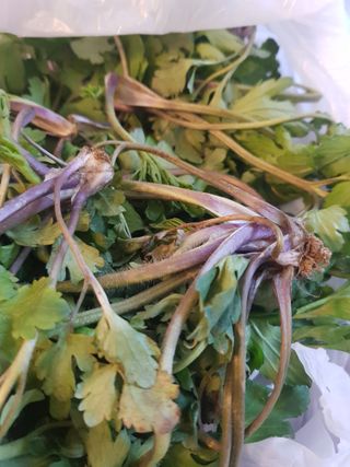 어쩌다농부님의 자유주제 · 자유게시판 작성글 사진