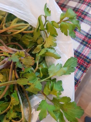 어쩌다농부님의 자유주제 · 자유게시판 작성글 사진