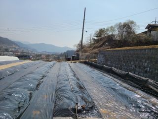 이박농장님의 자유주제 · 자유게시판 작성글 사진