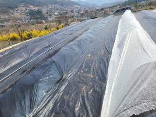 이박농장님의 자유주제 · 자유게시판 작성글 사진