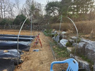 이상준님의 고추 · 영농일지 작성글 사진