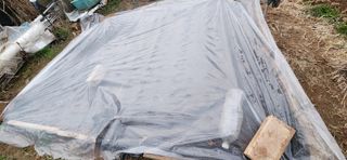 텃밭사랑꾼님의 4월 내 작물 자랑하기 · 참여글 작성글 사진