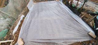 텃밭사랑꾼님의 4월 내 작물 자랑하기 · 참여글 작성글 사진