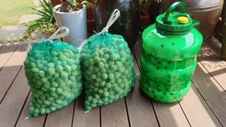 대운이네농원님의 자유주제 · 자유게시판 작성글 사진