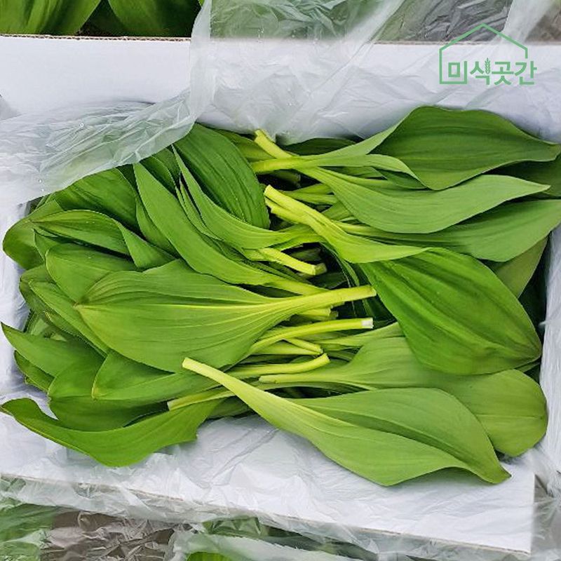 장터 상품 [산마늘(명이) 1k ] 썸네일