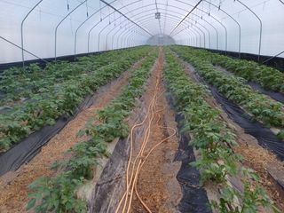 고영호님의 자유주제 · 자유게시판 작성글 사진