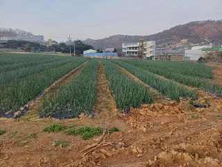 고영호님의 자유주제 · 자유게시판 작성글 사진