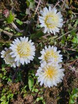 팜모닝 자유주제·자유게시판 게시글 이미지