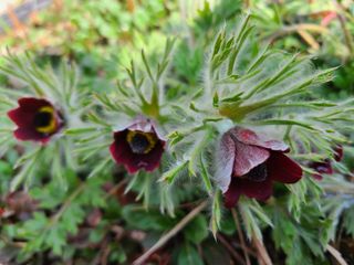 이박농장님의 자유주제 · 자유게시판 작성글 사진