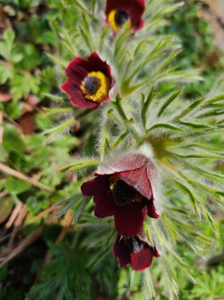 이박농장님의 자유주제 · 자유게시판 작성글 사진