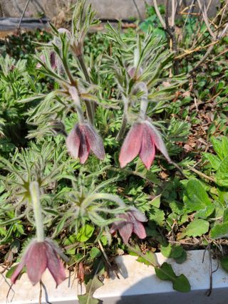 이박농장님의 자유주제 · 자유게시판 작성글 사진